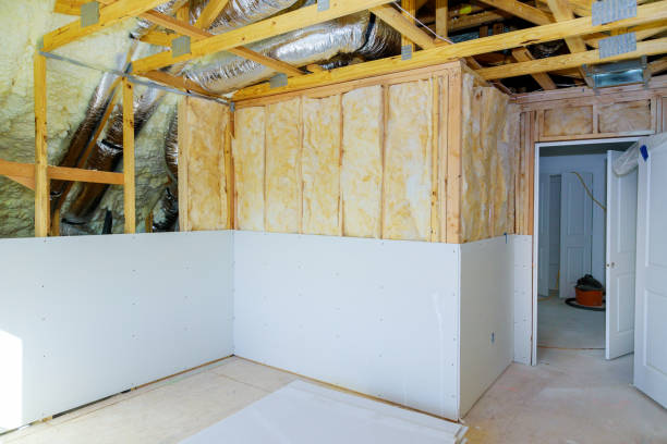 Best Insulation Materials and Products in Glenwood, GA