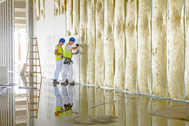 Best Insulation for Specific Applications in Glenwood, GA